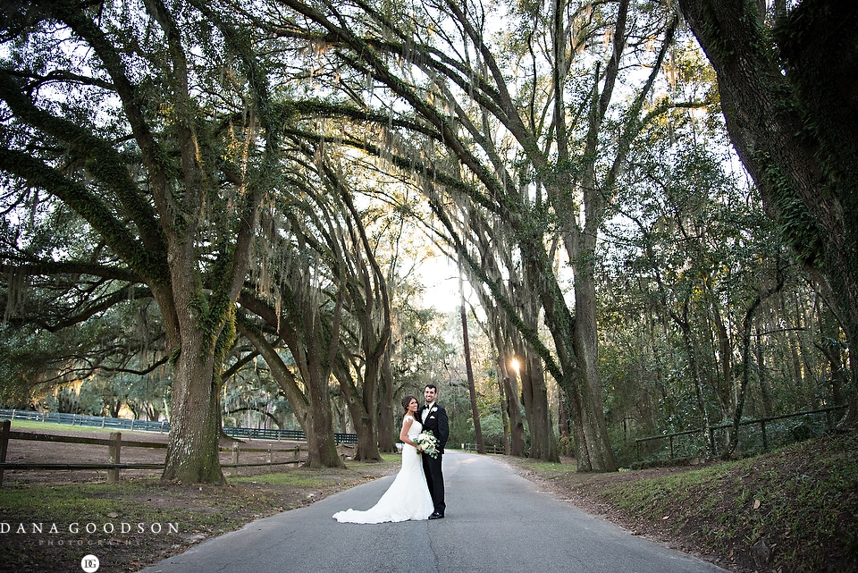 Pebble Hill Plantation Canopy of Trees with Bride and Groom 